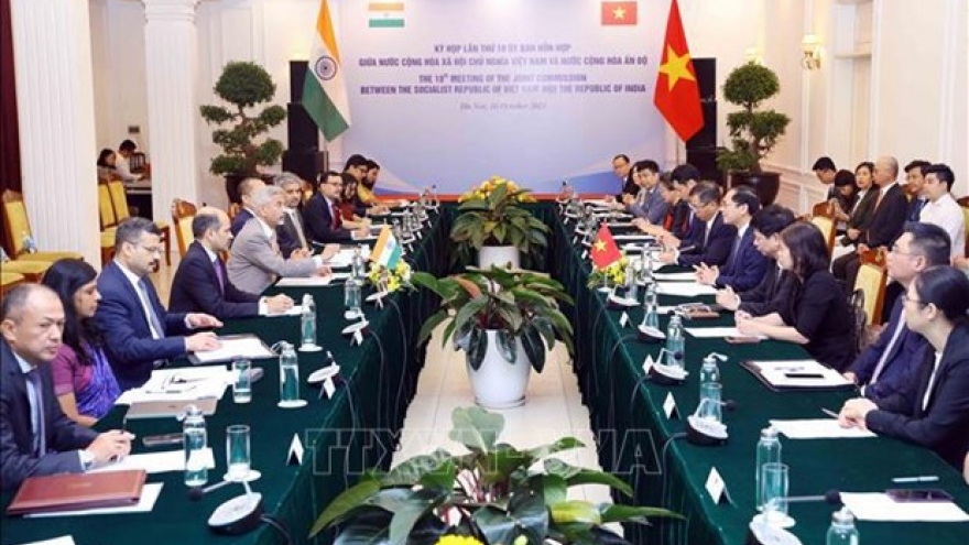 Indian scholar hails Vietnam’s diplomatic achievements