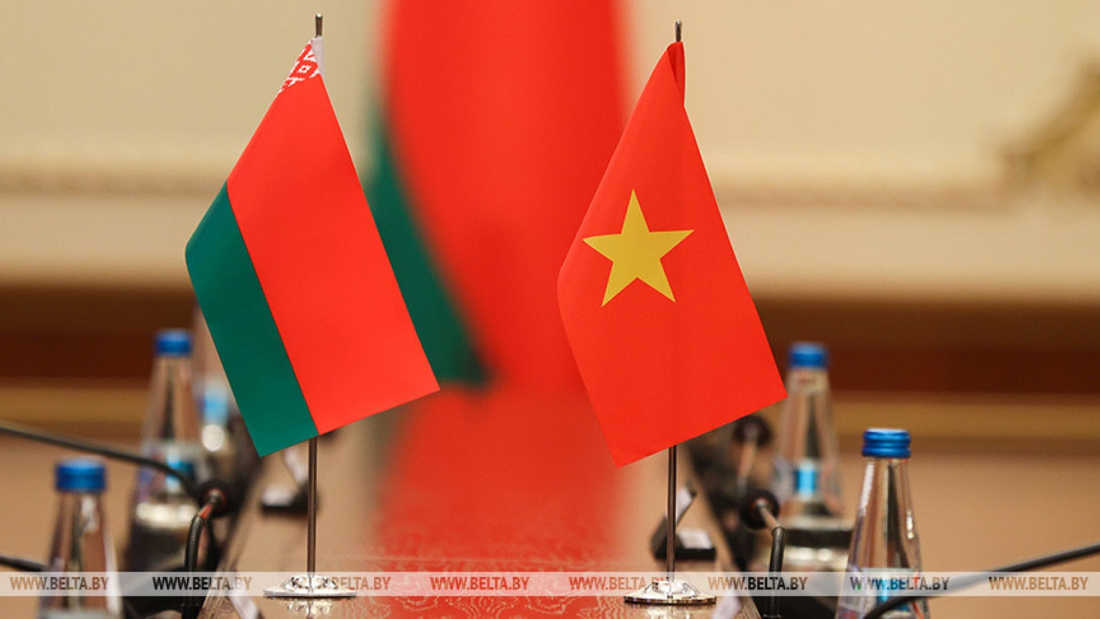 Potential remains for Vietnam-Belarus cooperation: expert