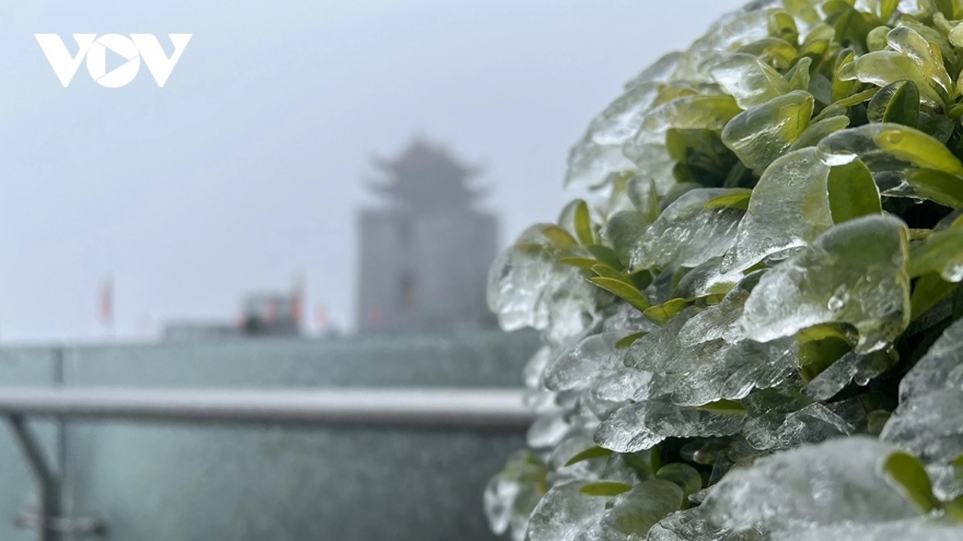Băng giá hay sương muối đang xuất hiện trên đỉnh Fansipan hậu Giáng sinh?