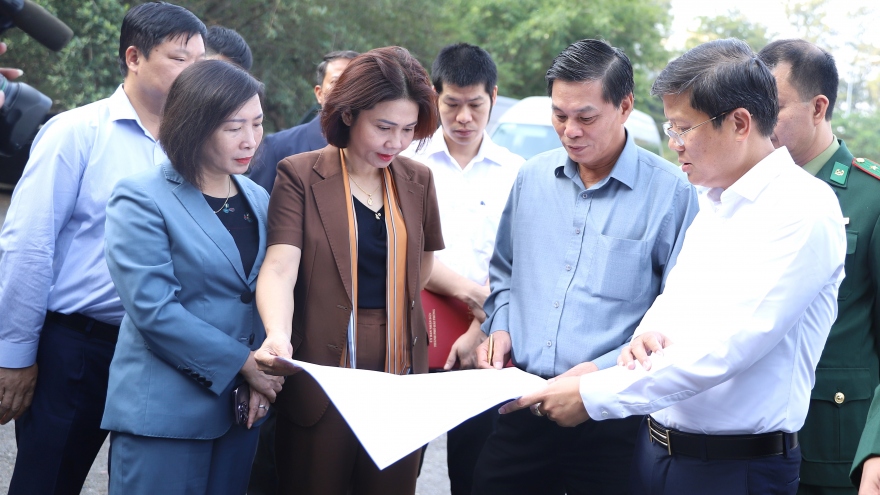 Hải Phòng kiên quyết xử lý dứt điểm vi phạm đất đai tại Cát Hải và Đồ Sơn