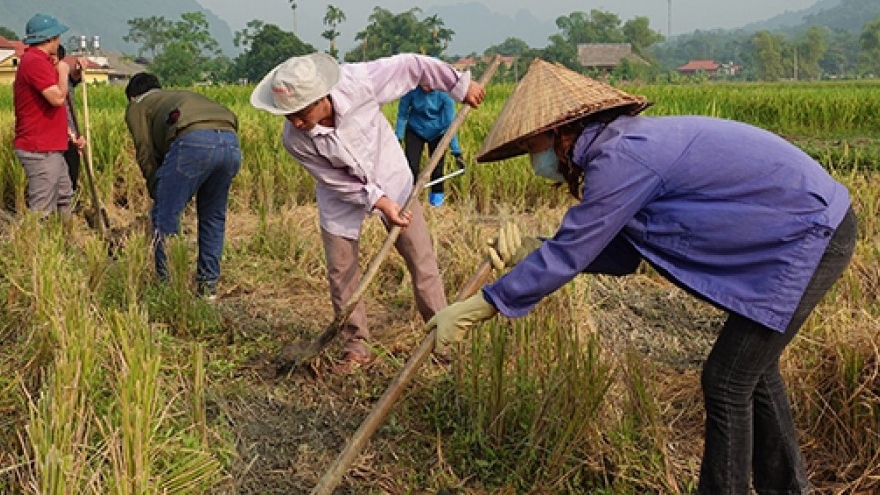 Đồng bào dân tộc thiểu số Yên Bái hướng tới mục tiêu tăng thêm năng suất