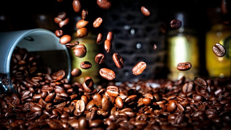 Giá cà phê hôm nay 3/12: Cà phê trong nước giảm nhẹ về mức 59.600 đồng/kg