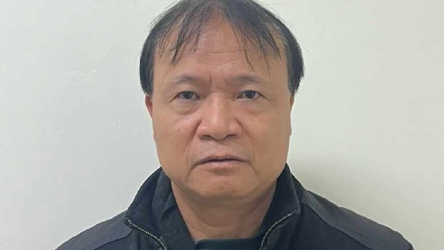 Trade Deputy Minister Do Thang Hai arrested for bribe taking allegation