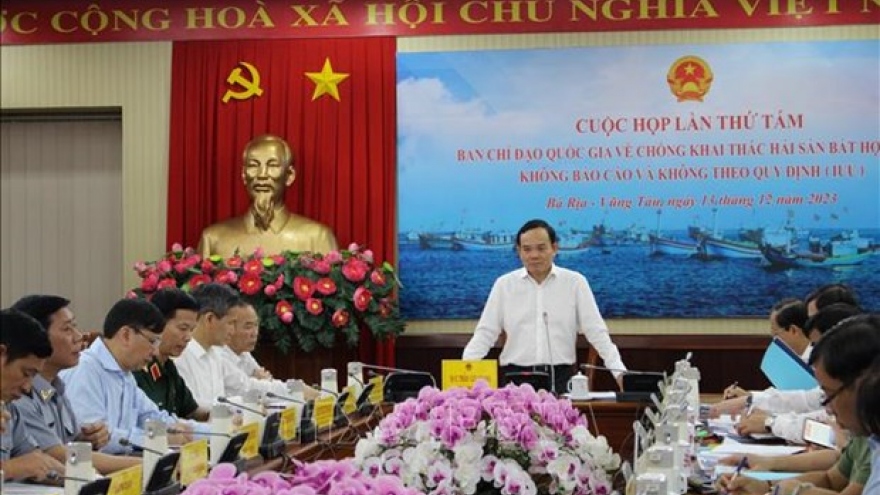 Deputy PM asked for stronger efforts in combating illegal fishing