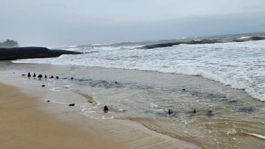 Quang Nam implements protective measures for suspected ancient shipwreck