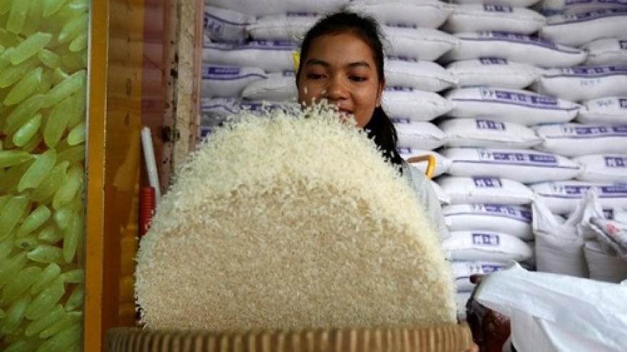 Campuchia có thể thiếu gạo để xuất khẩu trong quý I năm 2024