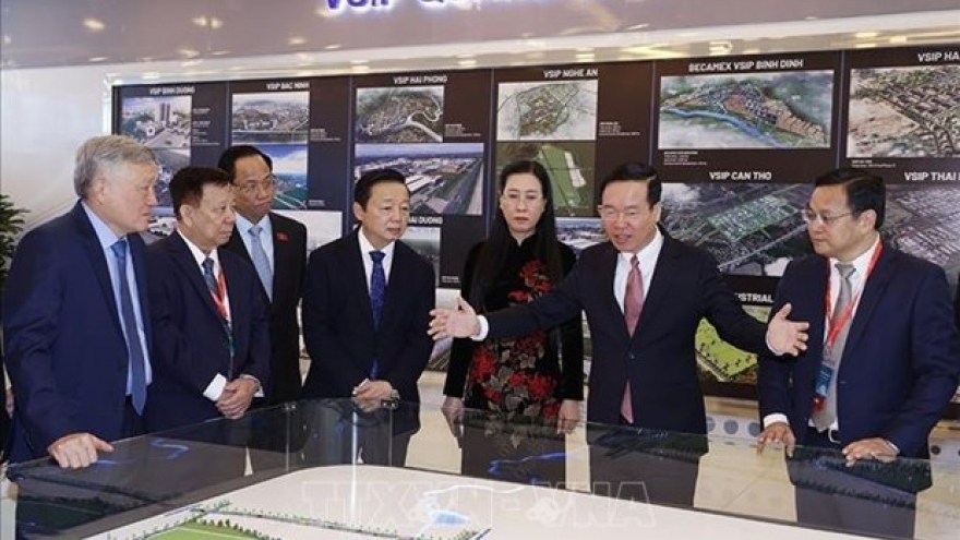 President attends ceremony marking Quang Ngai VSIP's 10th anniversary
