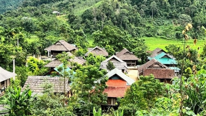 Ngăn chặn nạn "chảy máu" bằng cách kiểm kê, xếp hạng nhà sàn cổ