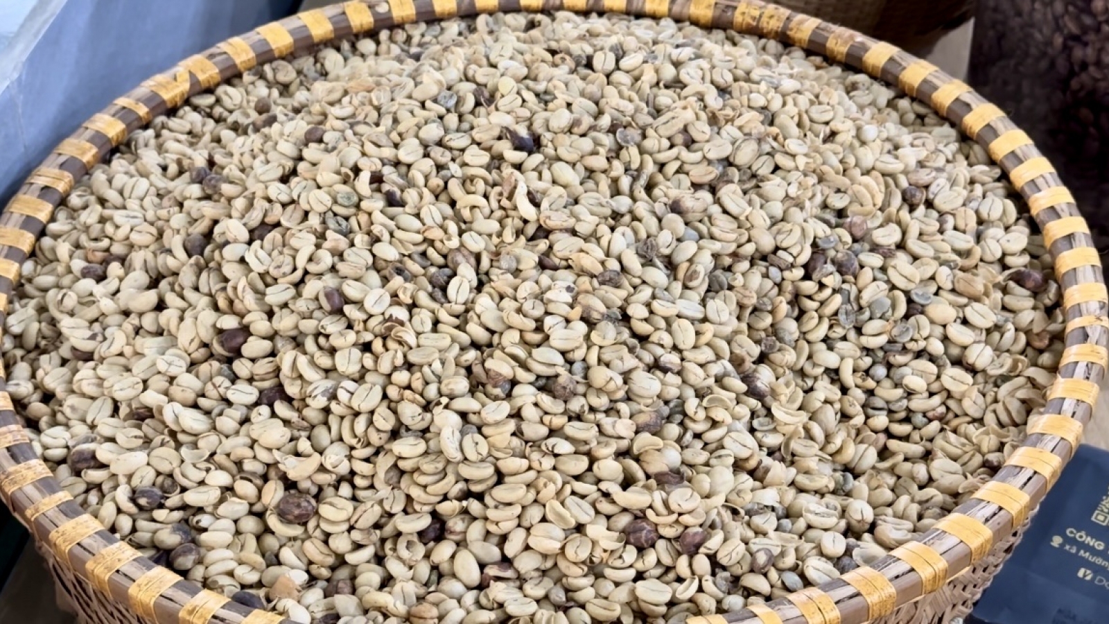 Giá cà phê hôm nay 25/3: Cà phê trong nước cao nhất 95.300 đồng/kg