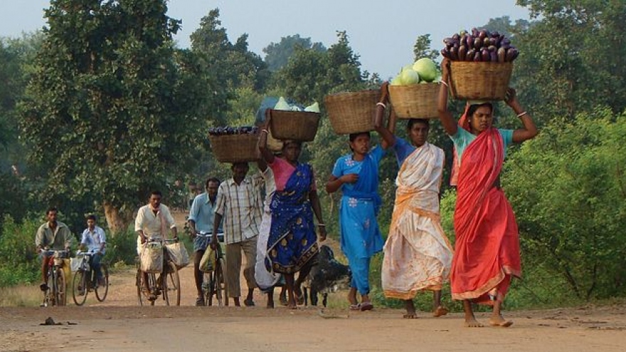 Ấn Độ đánh giá sự tham gia của phụ nữ vào lực lượng lao động