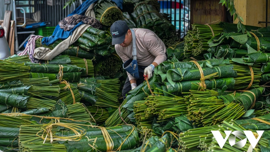 Nhộn nhịp chợ lá dong những ngày cận Tết