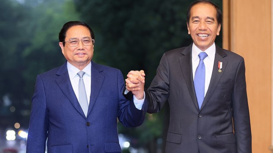 Vietnamese, Indonesian leaders hail development of multifaceted cooperation