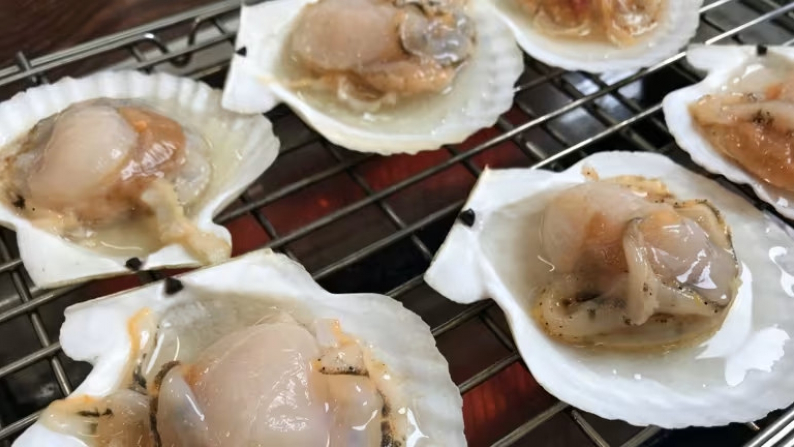 Japanese seafood companies pilot processing Hokkaido scallops in Vietnam