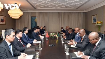 Vietnam treasures cooperative ties with Mozambique