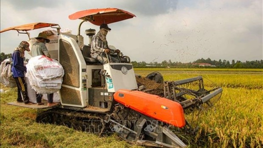 Italian firms seek to boost partnership in agricultural mechanisation in Vietnam