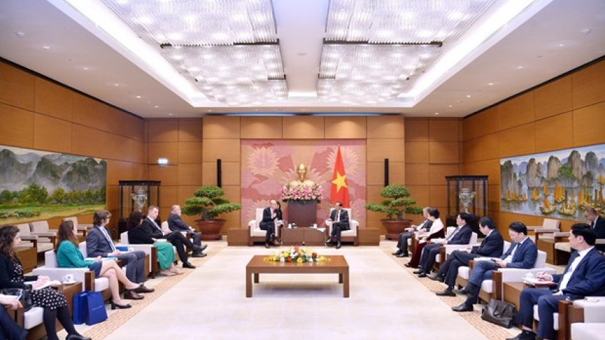 NA Vice Chairman: Vietnam values traditional friendship with Czech Republic