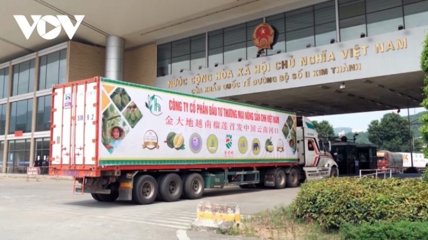 Exports of agricultural products to China via Lao Cai border gate thrive