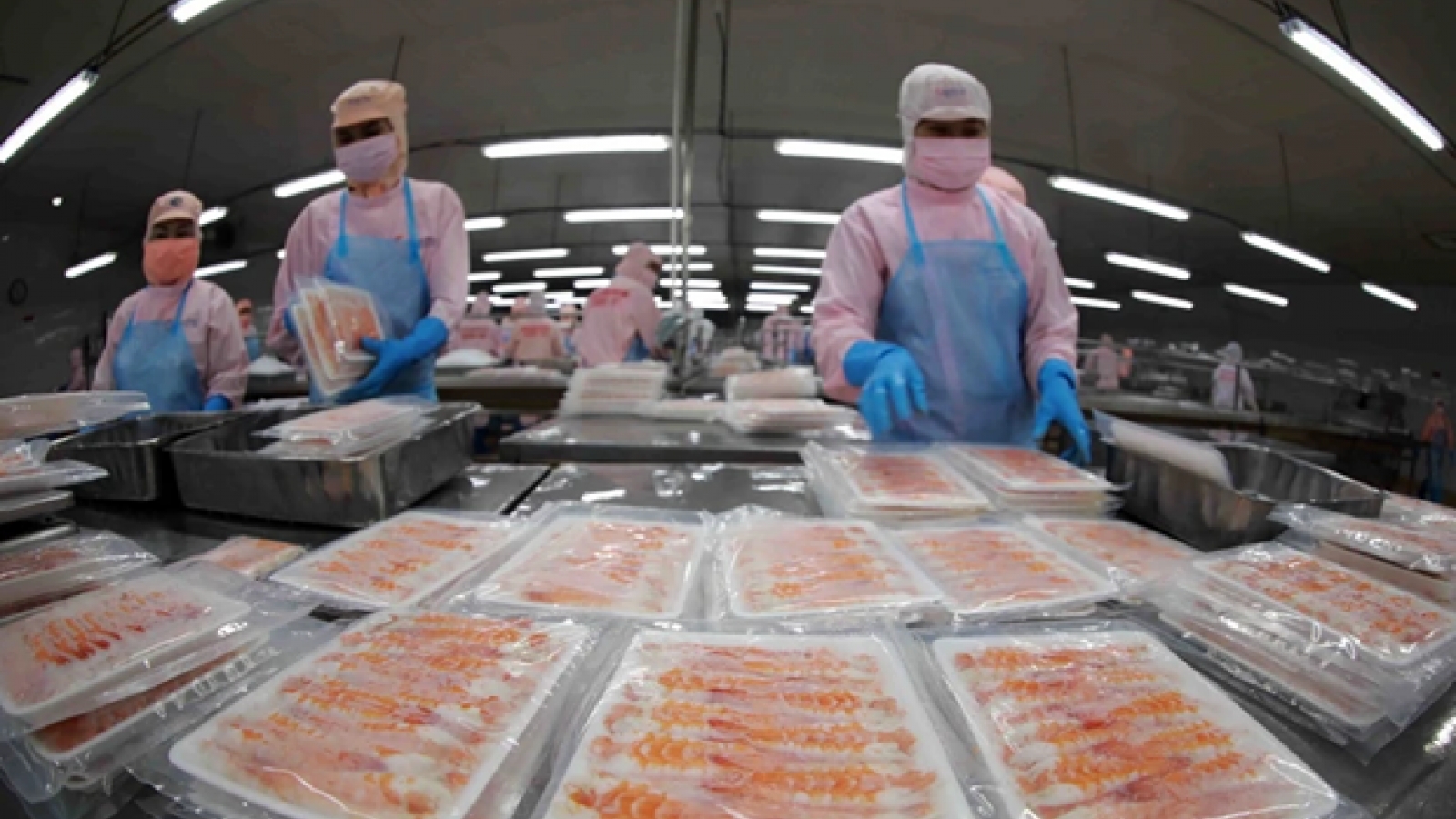 Aquatic product exports to recover only slightly in H1: Association
