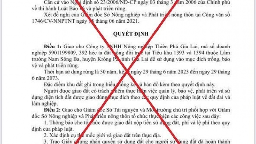 Giả mạo quyết định của Chủ tịch UBND tỉnh Gia Lai, giao gần 400ha rừng phòng hộ