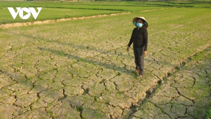 Thủ tướng yêu cầu chủ động ứng phó với nguy cơ hạn hán, thiếu nước