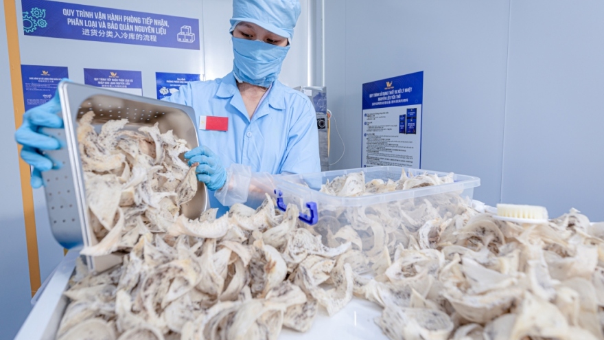First batch of Vietnamese bird's nests exported to China by air
