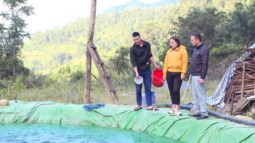 Phàn A Páo làm giàu từ nuôi cá hồi nước lạnh