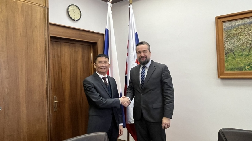 Phó CTQH Slovakia: Việt Nam là đối tác quan trọng của Slovakia trong tương lai