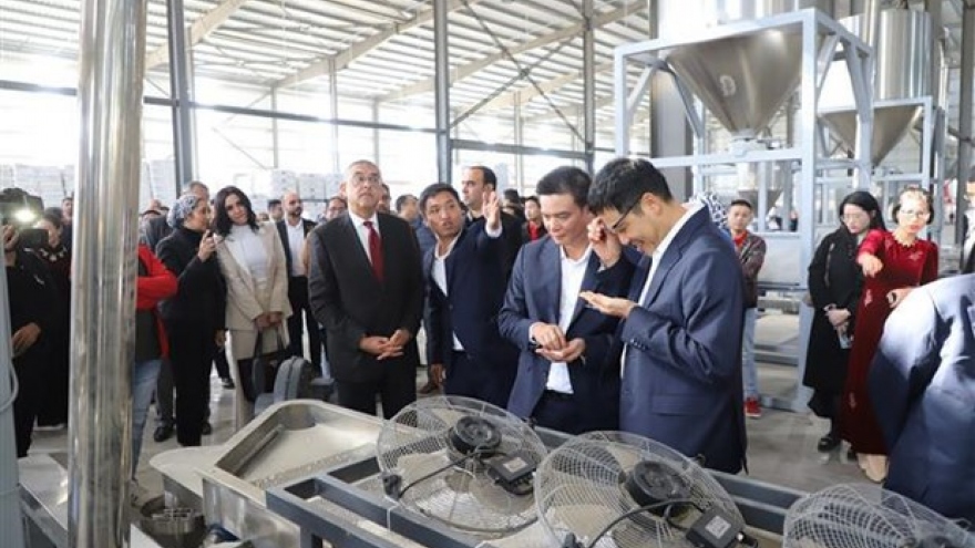 First Vietnamese factory inaugurated in Egypt