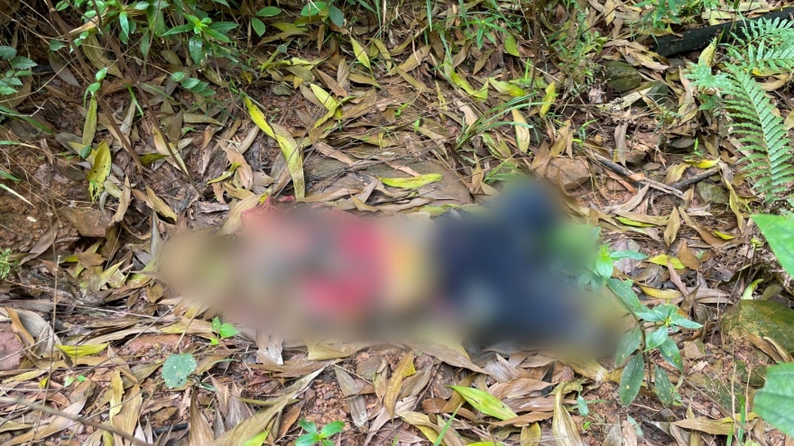 Phát hiện thi thể người đàn ông trong rừng keo ở Quảng Bình