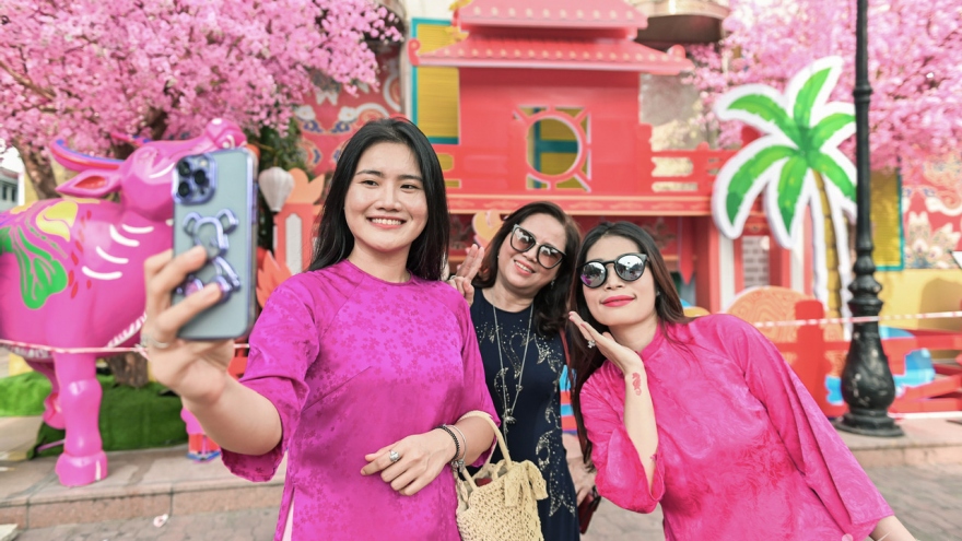 Ho Chi Minh City festooned to celebrate Tet