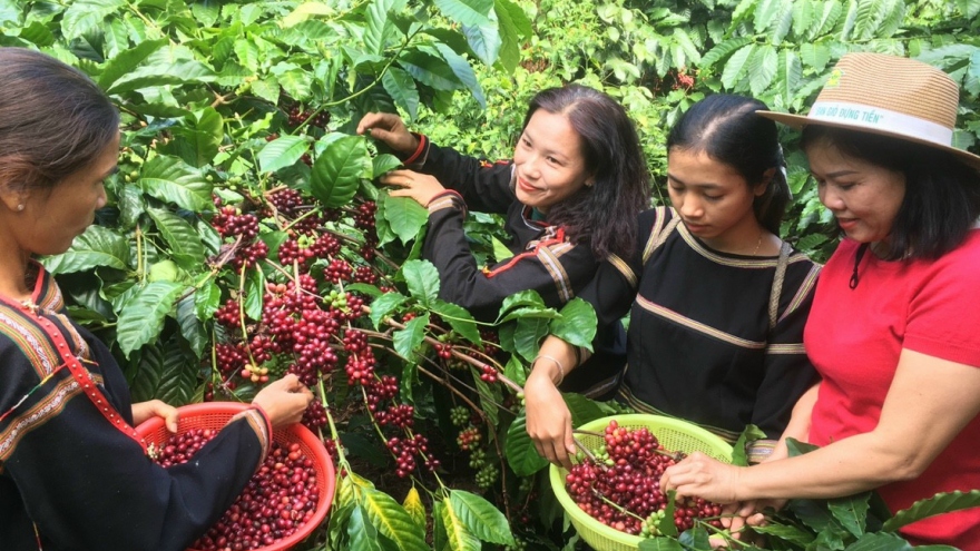 Đưa Tây Nguyên trở thành vùng phát triển nhanh, bền vững