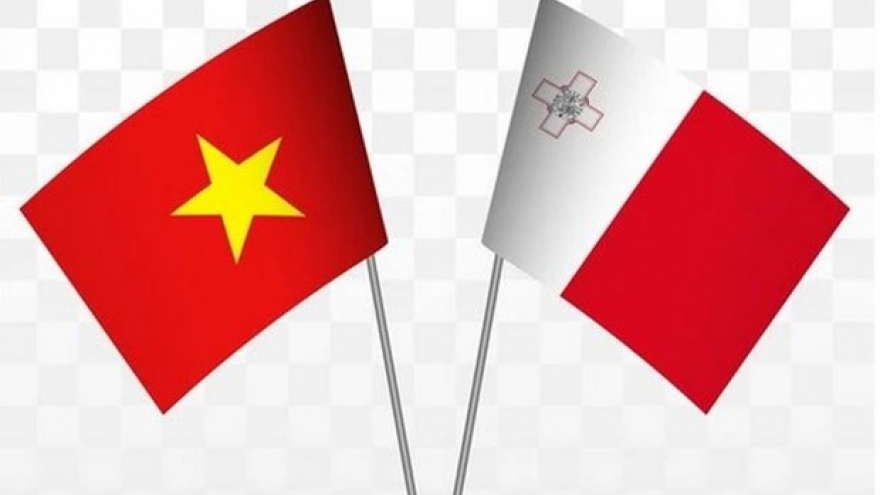 Similarities, common interests help develop Malta-Vietnam relations: Ambassador