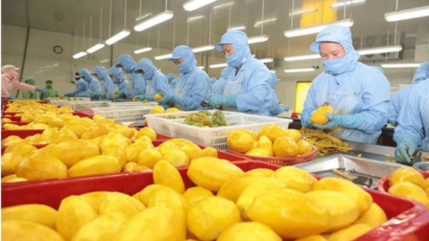 Processed fruit and vegetable exports exceed US$1 billion for first time