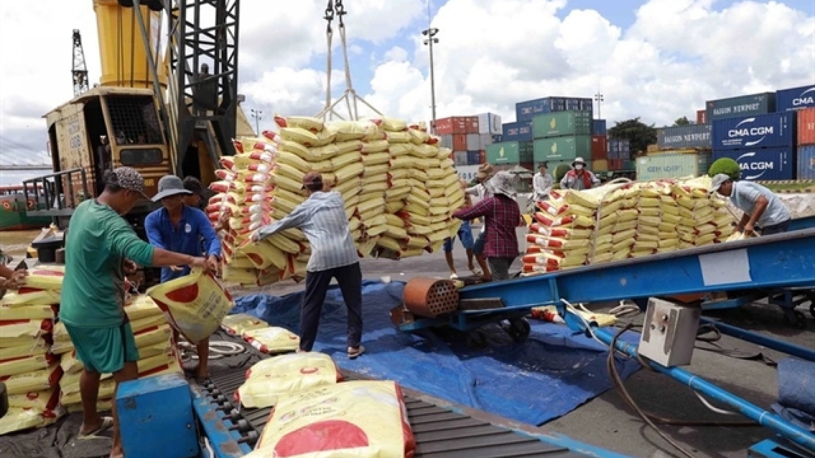 Vietnamese companies win Indonesian rice contracts