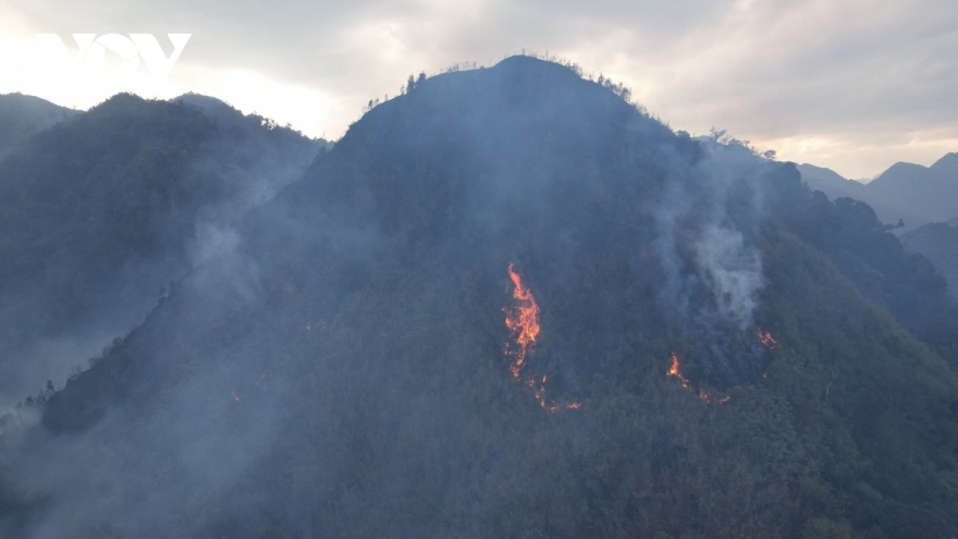 Hoang Lien National Park forest fire under control