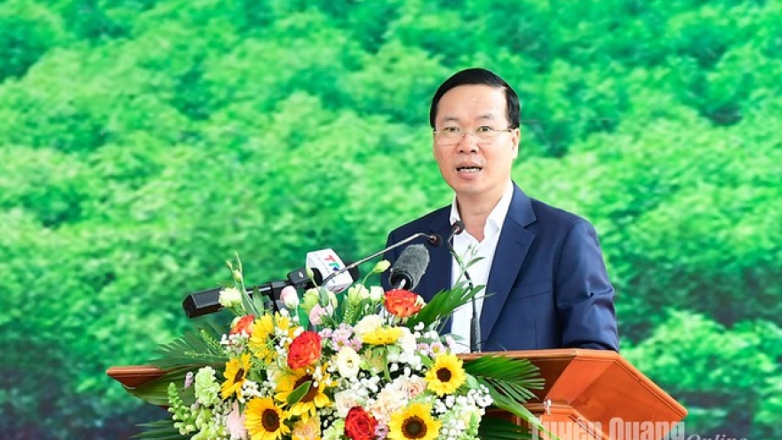 State President launches tree planting festival 2024