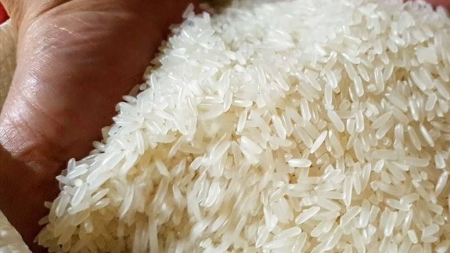 Thế giới có thiếu gạo vì căng thẳng an ninh ở Biển Đỏ?