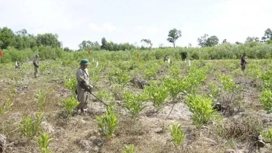 Vietnam National Mine Action Centre celebrates 10th founding anniversary