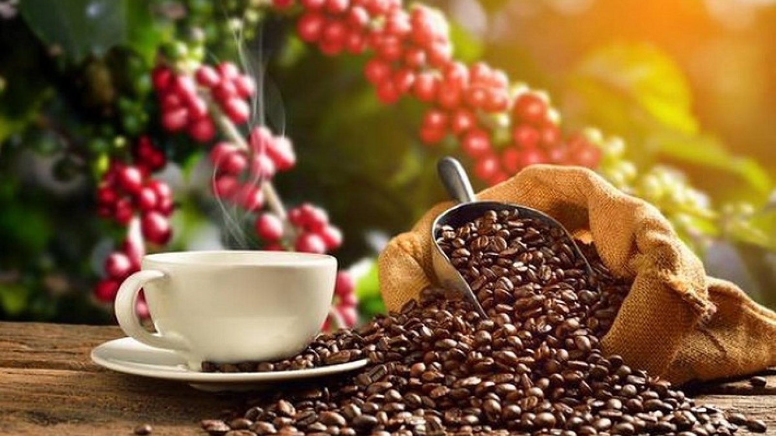 Two-month coffee exports likely to exceed US$1 billion