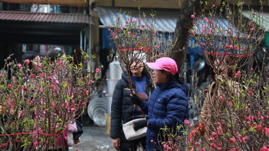Chợ hoa Tết Hàng Lược, nét đẹp của phiên chợ lâu đời nhất Hà Nội