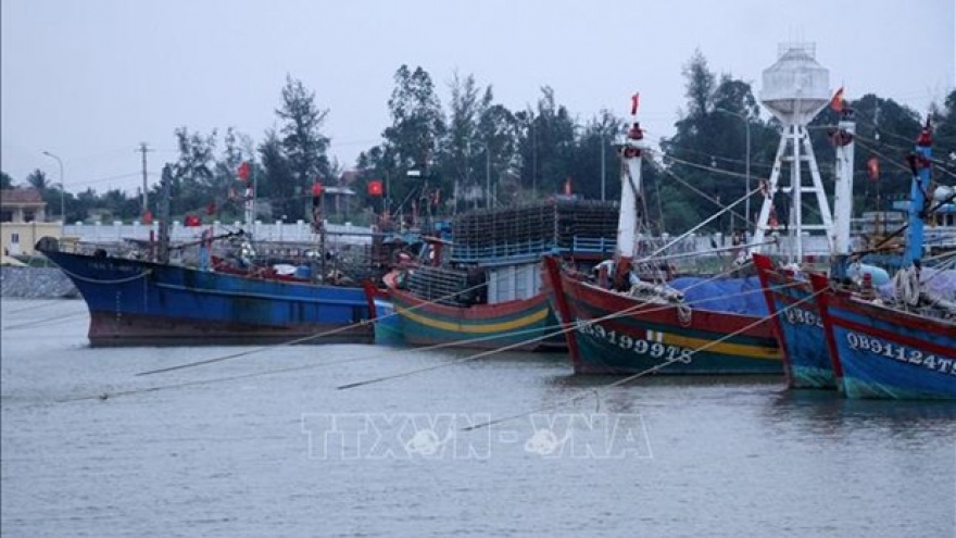 MARD urges examination of fishing vessels without tracking