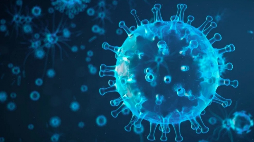 Virus cúm H5N1 lần đầu tiên được phát hiện ở Nam Cực