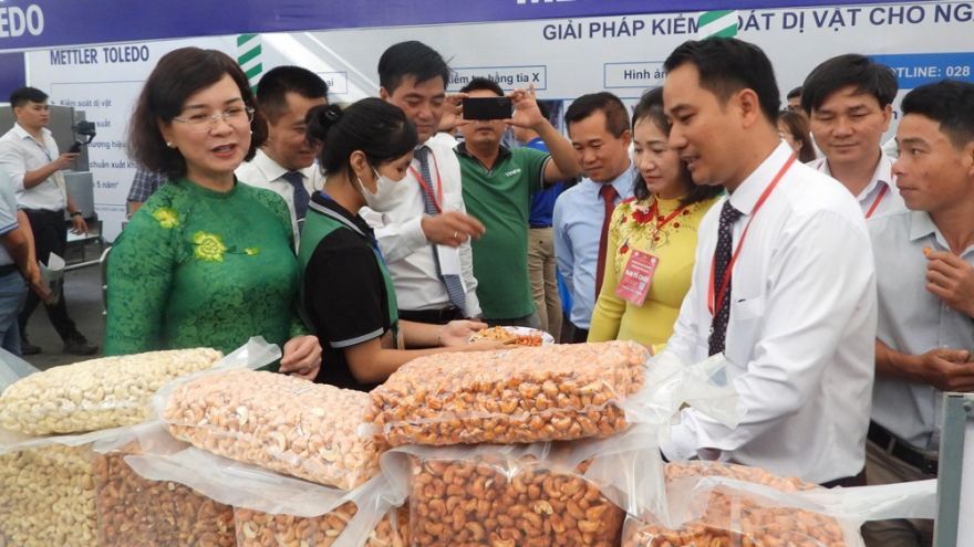 Kim ngạch xuất khẩu hạt điều nhân ở Bình Phước tăng 150%