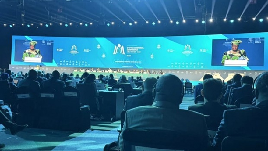 Vietnam pushes for WTO’s stronger trade, development role at MC13