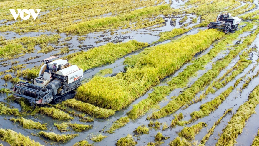 Hội Nông dân Việt Nam tham gia phát triển kinh tế tập thể trong nông nghiệp