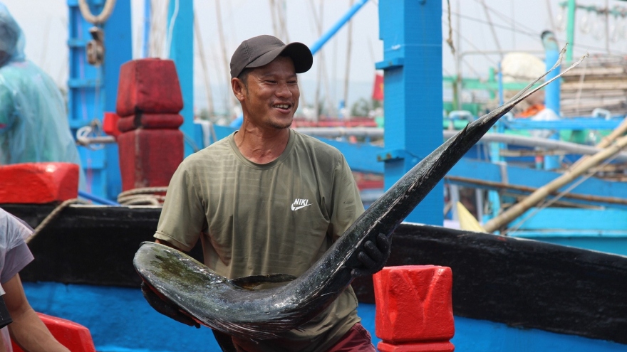 Fishermen in southcentral region enjoy bumper hauls on the first trip after Tet