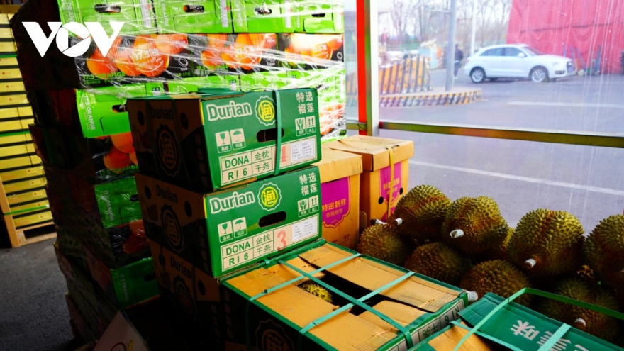 Fruit exports rake in over US$500 million in January