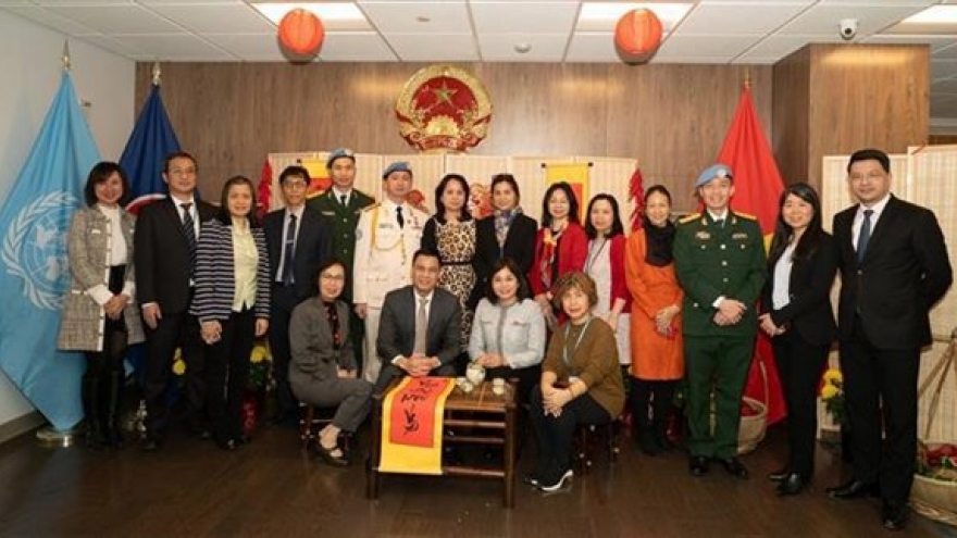 Tet gathering held for Vietnamese experts working for UN agencies