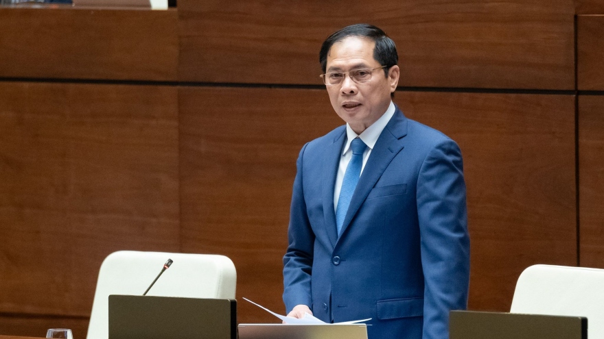 Chất vấn Bộ trưởng Ngoại giao Bùi Thanh Sơn về bảo hộ công dân