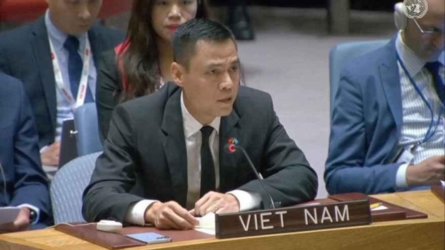 Vietnam continues call for ceasefire in Gaza Strip